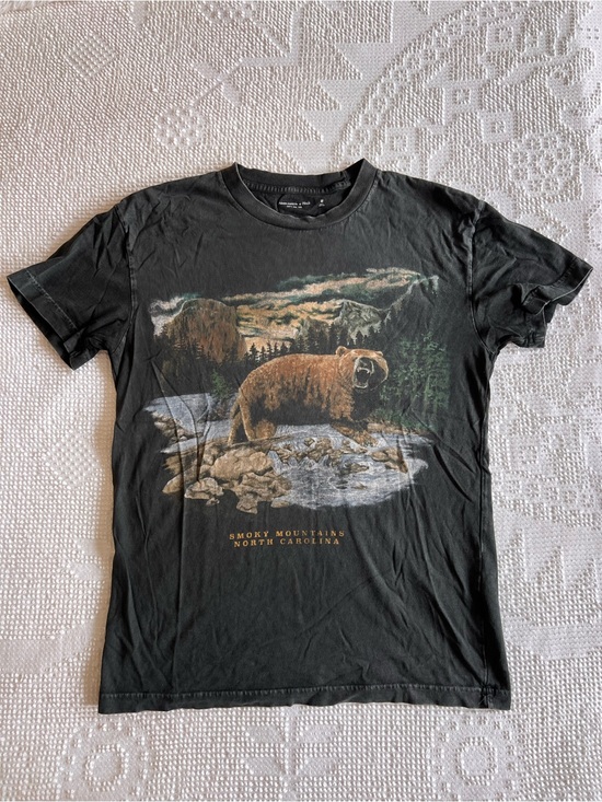 Abercrombie & Fitch Other - Abercrombie & Fitch Black Smoky Mountains Bear Graphic Tee